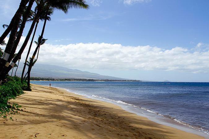 Kealia Resort 502 Kihei Eksteriør billede